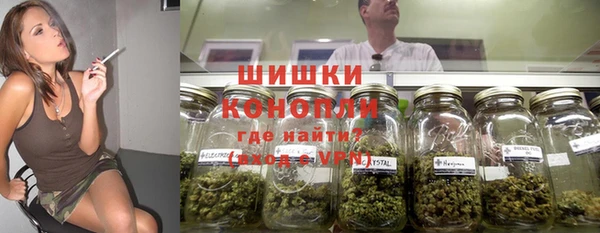 ешки Алзамай