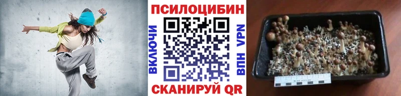 Галлюциногенные грибы мицелий  Ува 